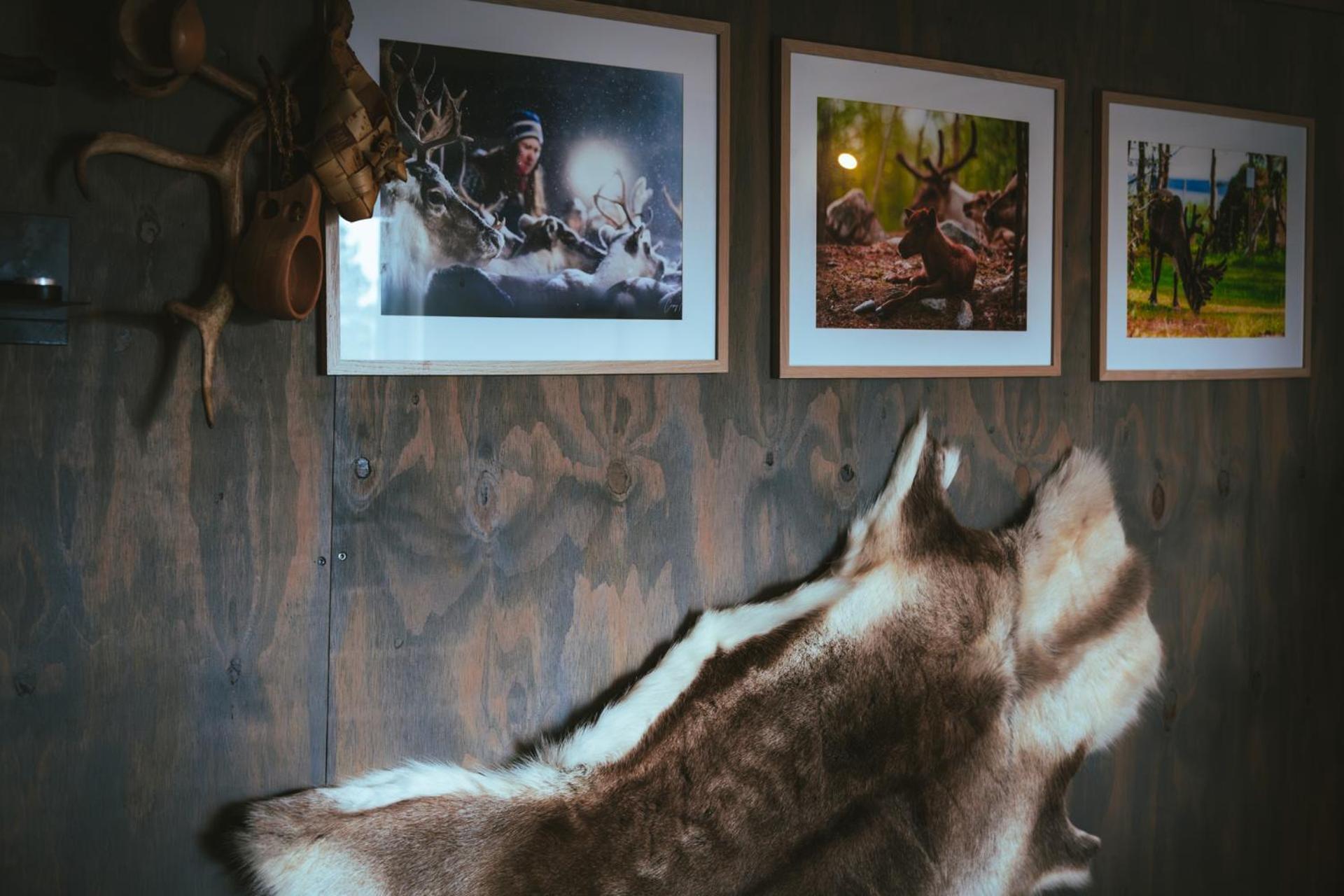 Reindeer Lodge Jukkasjärvi Dış mekan fotoğraf